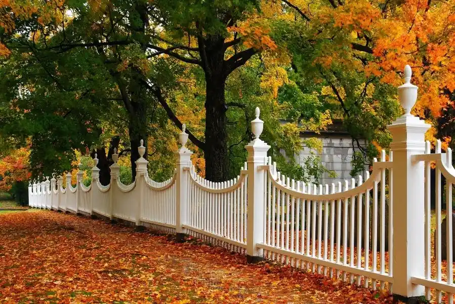 Affordable Fencing Services